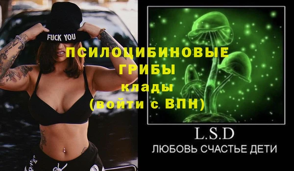 ешки Алзамай
