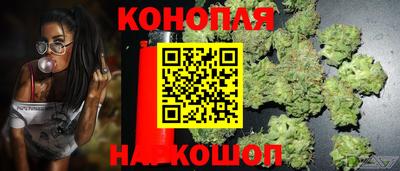 крисы Ирбит